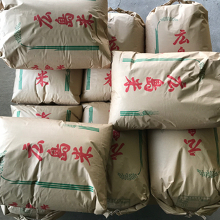 【送料込】 農家直送 令和三年 30kg 玄米アキサカリ その他