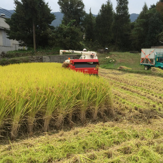 令和4年9月収穫　広島県産新米あきさかり玄米30キロ