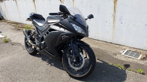 NINJA250　KAWASAKI　2013年式　EX250L　低走行　パーツ新品多数　自賠責 令和4年7月