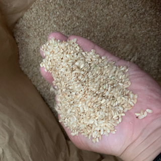 令和3年・2年度産鳥取県産くず米玄米400kg以上規格外品飼料などに