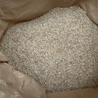 飼料米　約25キロ くず米/飼料用12kg（令和6年産 農薬不使用/自然農法・自然栽培