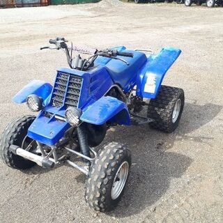 売約済み。値下げしました！これからの季節に！希少！ヤマハバンシー 売約済み。値下げしました！これからの季節に！希少！ヤマハバンシー