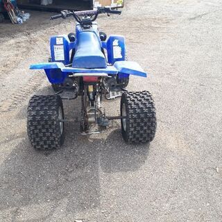 売約済み。値下げしました！これからの季節に！希少！ヤマハバンシー 売約済み。値下げしました！これからの季節に！希少！ヤマハバンシー