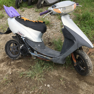 ホンダライブディオ ベース車 | www.bbxbrasil.com