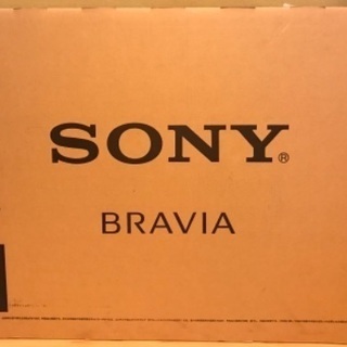 美品 SONY KJ-49X8500G 49V型 4K 液晶テレビ 2019年製 | hshn.org