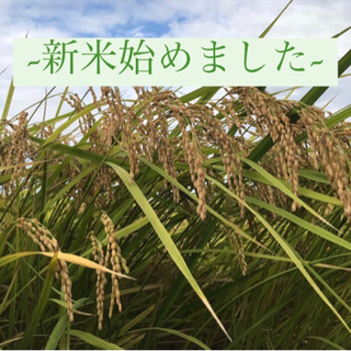 【ネット決済・配送可】🌾コシヒカリ生産者直売