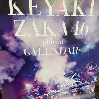 欅坂46 official calendar 2018