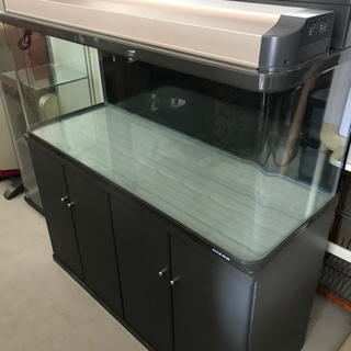 終了 大型 水槽 1cm 専用台付き Nisso Alba Com Gt