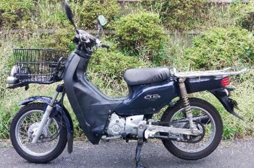 カブ50プロ AA04 黒×紺 (1495)