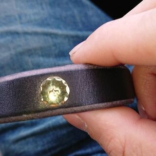 ゴローズブレス