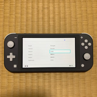 国内発送 中古 ケースセット Switch Nintendo ニンテンドースイッチライト Nintendo Switch