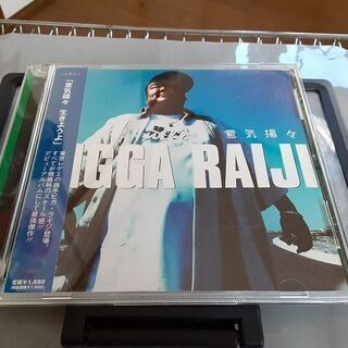 【ネット決済・配送可】Bigga Raiji	意気揚々