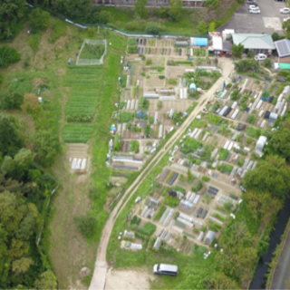 稲城市 貸地 農園 農地 キャンプ場
