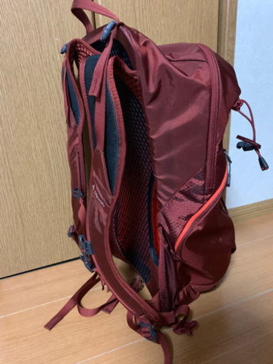 グレゴリー アリオ22 | ega.org.eg