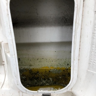 ボート二本オール付き色は白(RYOBI)ボートエース