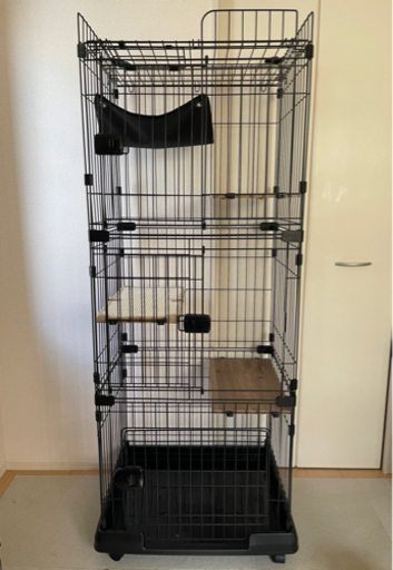 美品 猫 ケージ キャットケージ | ega.org.eg