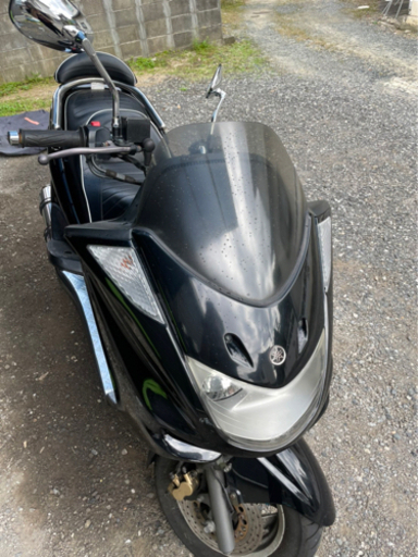 マジェスティC 250cc 【公式通販】