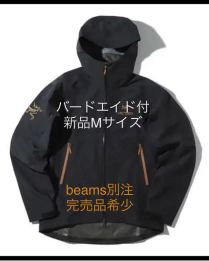 2021FW  BEAMS アークテリクス