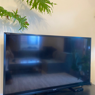 SHARP 60インチテレビ　