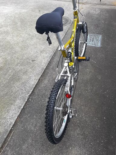 DSR 20インチ アクティブ トレッキングバイク