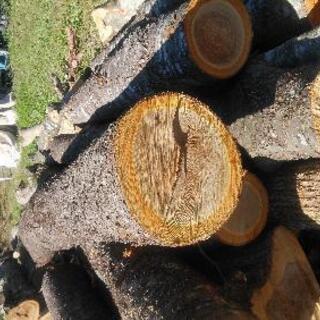 薪に最適、広葉樹原木格安販売