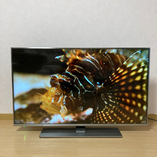 【ネット決済】美品！(保証付)Hisense 43型 4K液晶TV