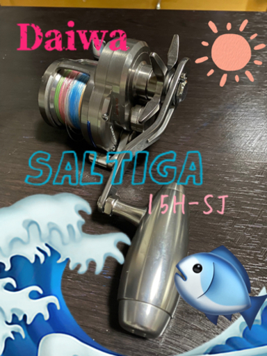 その他 Daiwa SALTIGA15H-SJ