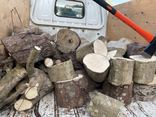 薪割りセット　木の幹　伐採後200キロ　配送可能