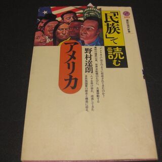 ｢民族｣で読む・アメリカ　野村達朗　講談社現代新書