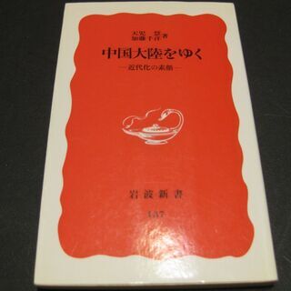 中国大陸をゆく～近代化の素顔　天児慧・加藤千洋　岩波新書