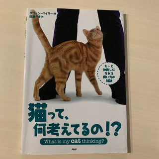 猫ちゃんの本