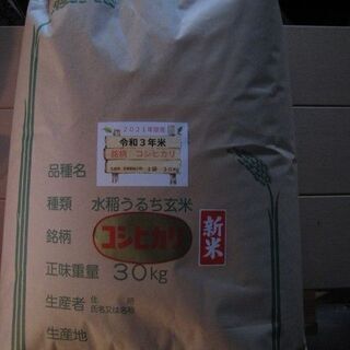 令和３年　新米コシヒカリ　玄米　キャンセル分３０Kg　1袋