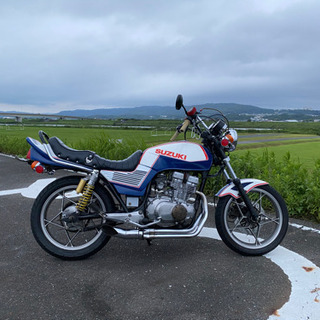 gsx250eゴキ