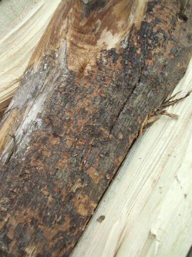 薪　ナラ・樫　軽トラ一杯　県内配送無料　10月10日まで掲載 薪 ナラ・樫 軽トラ一杯 県内配送無料 10月10日まで掲載