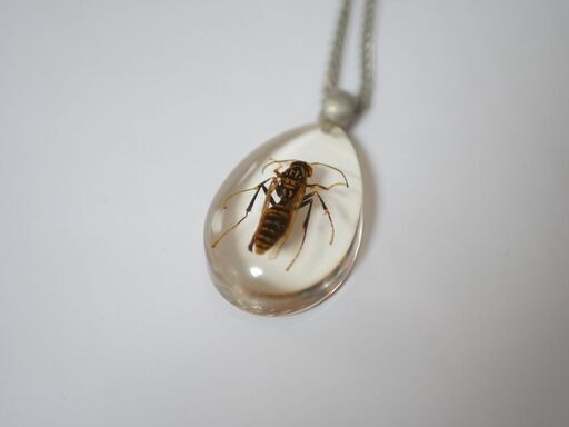 クリアランス販促品 樹脂標本ネックレス Bee アウトレット最激安 Www Opshub Com