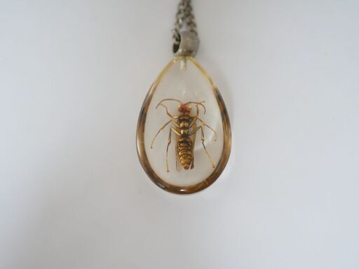 クリアランス販促品 樹脂標本ネックレス Bee アウトレット最激安 Www Opshub Com