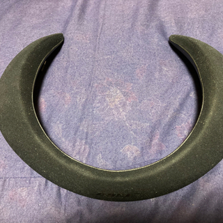 Bose sound wear companion