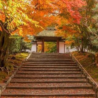 『鈴虫寺へ行きませんか😄』の画像