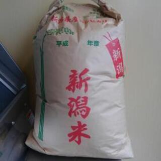 【ネット決済】去年のコシヒカリ30キロ玄米