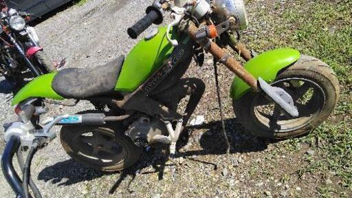 埼玉県富士見市からストリートマジック 埼玉県富士見市からストリートマジック