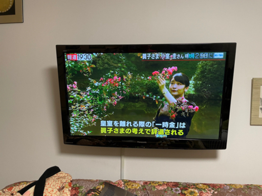 交渉中　　　値下　Panasonic デジタルハイビジョンプラズマテレビ　TH-P46R2