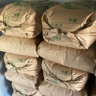 豊富なギフト キヌムスメ 新米 和歌山県産 無農薬 無消毒 30kg 玄米 30キロ その他