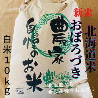 【希少品種を農家直送】新米　おぼろづき白米10kg  北海道米　お米