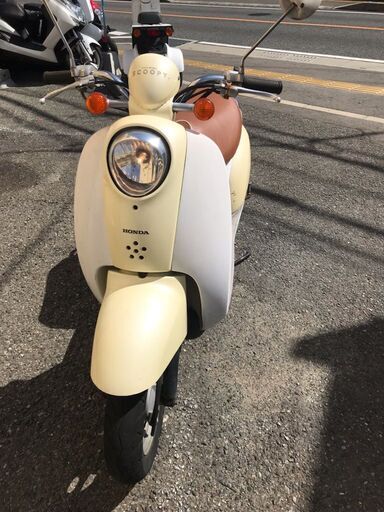 実動　AF55　スクーピー　クリームホワイト　福岡市南区
