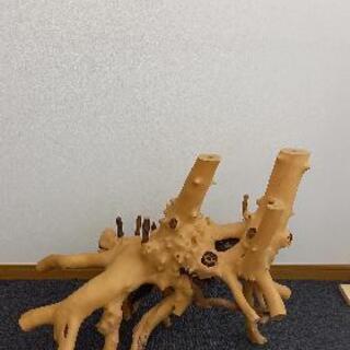 天然 木 根 こぶ 置物 No.﻿ 10