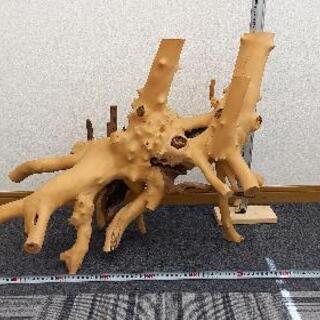 天然 木 根 こぶ 置物 No.﻿ 10