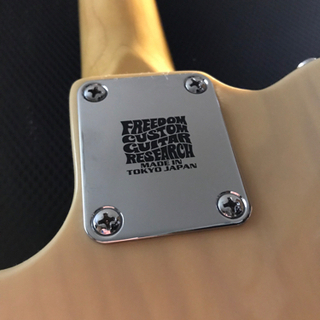 1月末までの出品】G&L テレキャスターシンライン