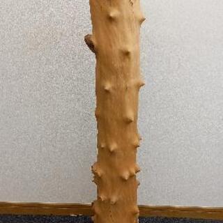 天然木 根 こぶ 置物 No.11