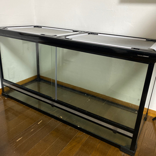 小森隼ジェネ高クッション