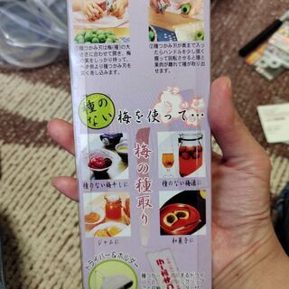 梅干し 梅の種 梅酒用